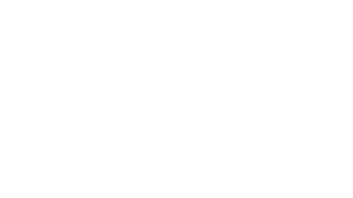 FIS